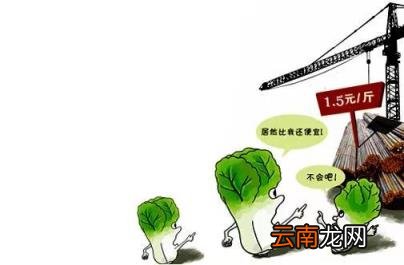 为啥闲鱼正品那么便宜 闲鱼如何买到正品