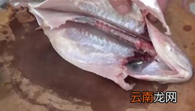 导读哪种淡水鱼鱼刺少还好吃