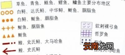 导读哪种淡水鱼鱼刺少还好吃