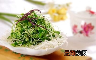香椿的食用方法
