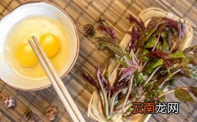 香椿的食用方法