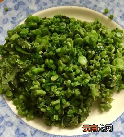 香椿芽有什么营养价值