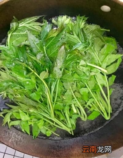 香椿芽有什么营养价值