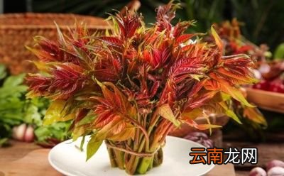 香椿芽拌豆腐的做法