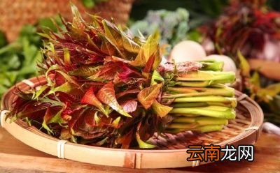 香椿芽拌豆腐的做法