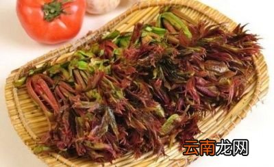 至于香椿芽怎么做好吃