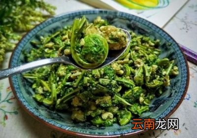 凉拌香椿的做法