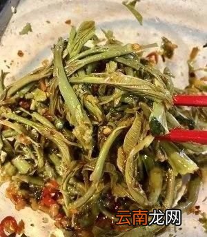 凉拌香椿的做法