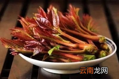 凉拌香椿的做法