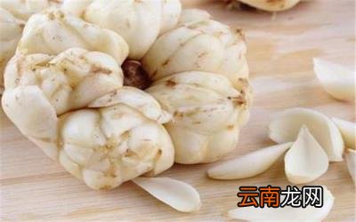 爆珠烟先捏碎再抽吗 爆珠烟和普通烟的区别