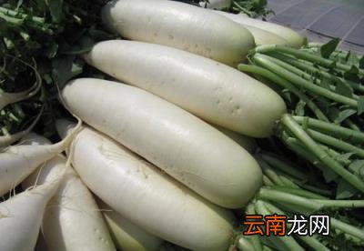 爆珠烟先捏碎再抽吗 爆珠烟和普通烟的区别