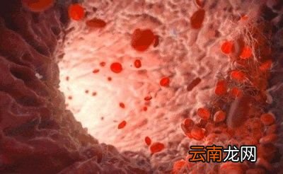 为什么我更倾向于温开水呢