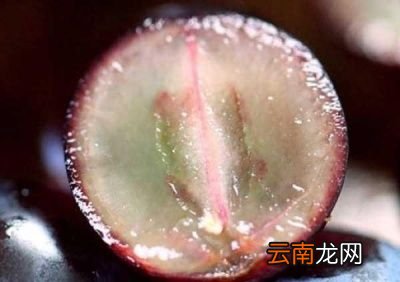 卸眼妆我推荐用卸妆油