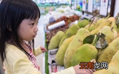 为什么菠萝蜜树不要涂白