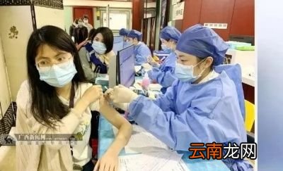 今年能回家过年吗