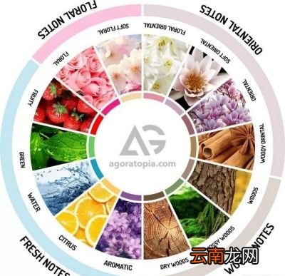 香水的香调怎么分