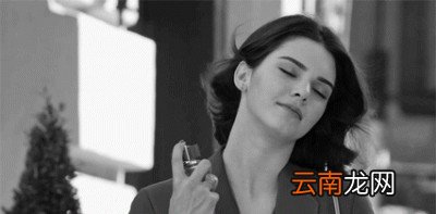 与神对话步新手如何选购香水