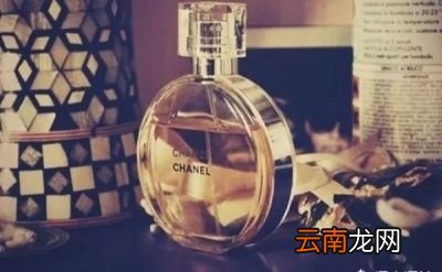 与神对话步新手如何选购香水
