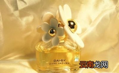 与神对话步新手如何选购香水