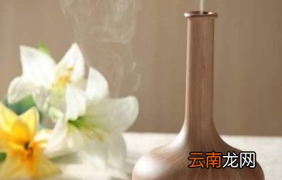 加湿器和空气净化器有什么区别