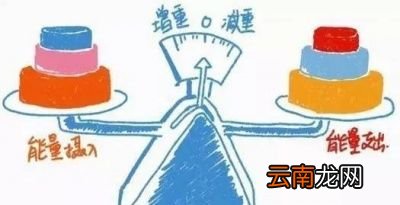 如何合理地通过饮食控制和运动来减掉大肚子