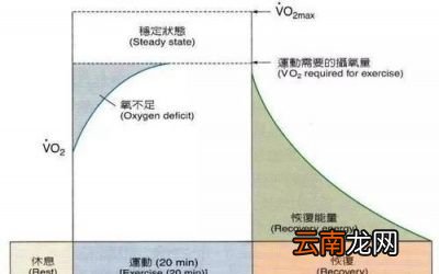 如何合理地通过饮食控制和运动来减掉大肚子