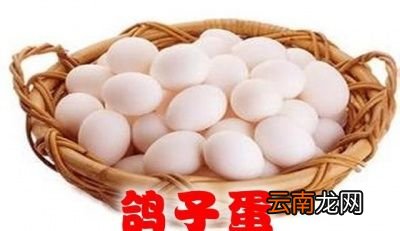 鸽子蛋和鸡蛋相比那个营养更高呢
