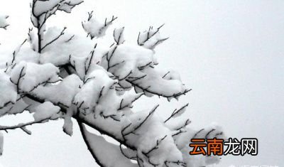 如果拉尼娜现象出现会带来什么影响