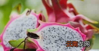 孕妈妈便秘的常见原因