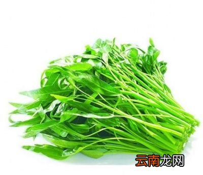 空心菜怎么炒才不会发黄