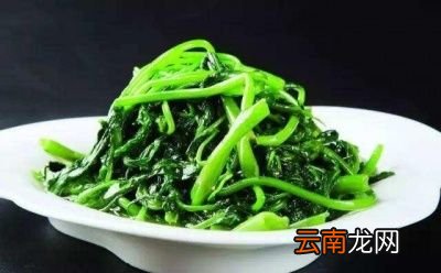 回归我们今天的主题怎么炒空心菜才不会发黄