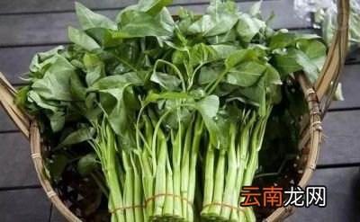 回归我们今天的主题怎么炒空心菜才不会发黄