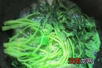 回归我们今天的主题怎么炒空心菜才不会发黄