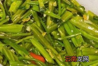 回归我们今天的主题怎么炒空心菜才不会发黄