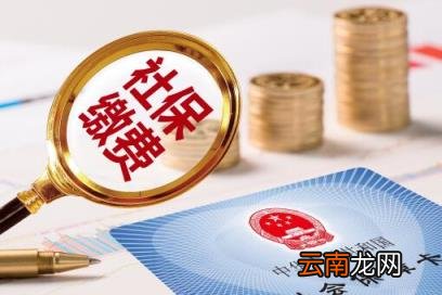 社保卡第一次怎么激活 手机怎么激活社保卡