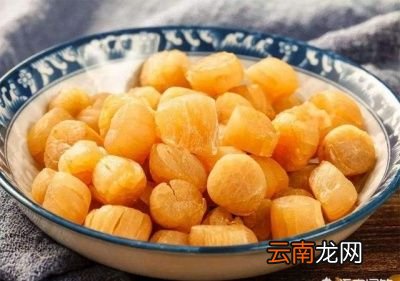 干贝的营养价值及好处
