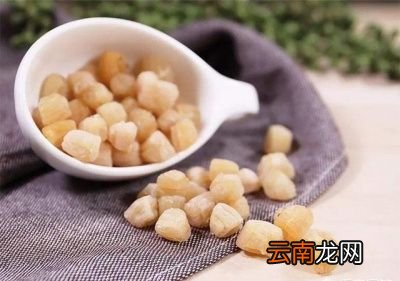 干贝的营养价值及好处