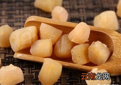干贝的营养价值及好处