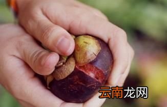 孕期吃山竹要注意什么