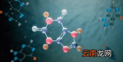 为什么尿酸会升高呢