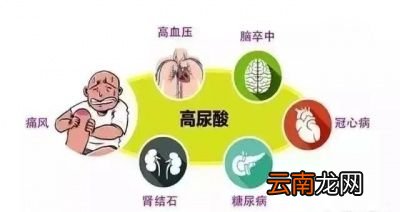 尿酸高会导致什么