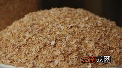 减肥时的主食由哪些食物代替好呢