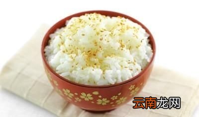 减肥时的主食由哪些食物代替好呢