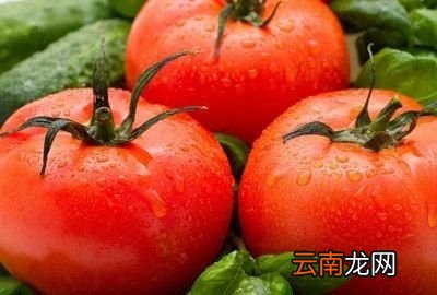 --西红柿用来煲汤哪些食材可以搭--