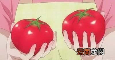 西红柿做什么汤好喝