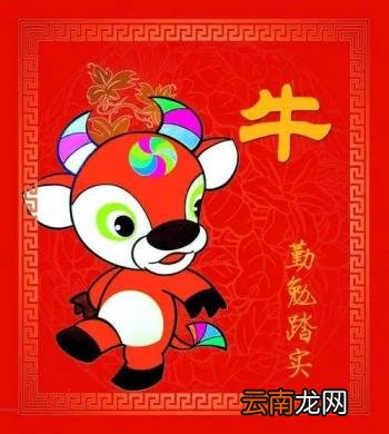 属牛丁火命 如何看五行