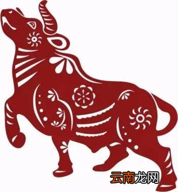 属牛丁火命 如何看五行