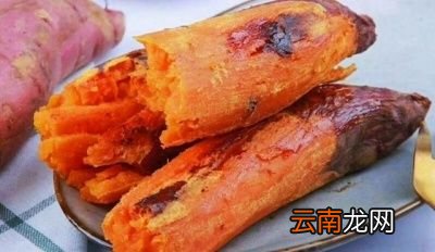 红薯到底是早上吃还是晚上吃最好有什么依据呢
