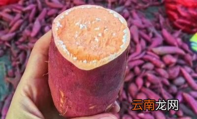 红薯到底是早上吃还是晚上吃最好有什么依据呢