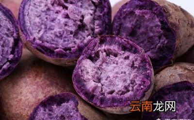 红薯什么时候吃好